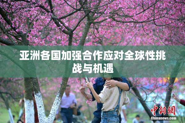 亚洲各国加强合作应对全球性挑战与机遇