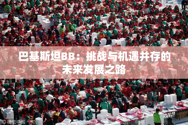 巴基斯坦BB：挑战与机遇并存的未来发展之路