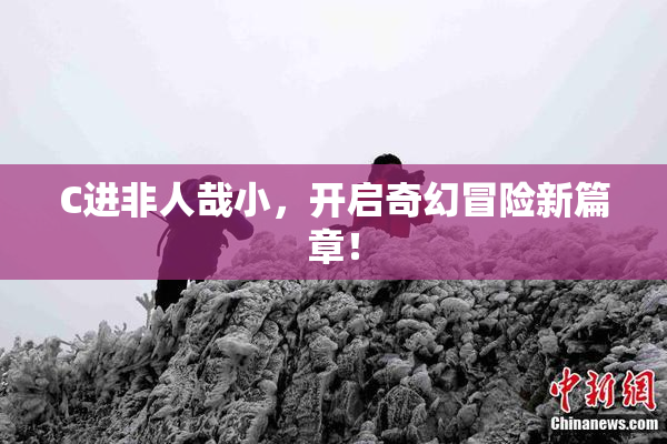 C进非人哉小，开启奇幻冒险新篇章！