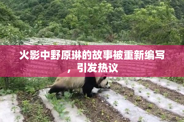 火影中野原琳的故事被重新编写，引发热议