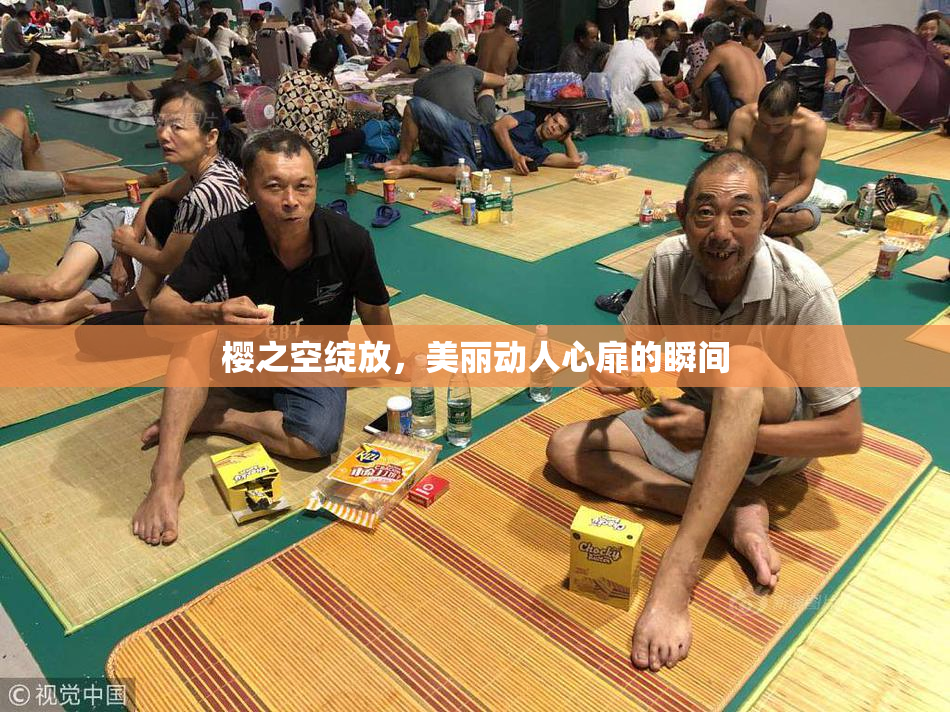 樱之空绽放，美丽动人心扉的瞬间