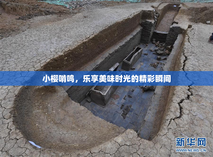 小樱啃鸣，乐享美味时光的精彩瞬间