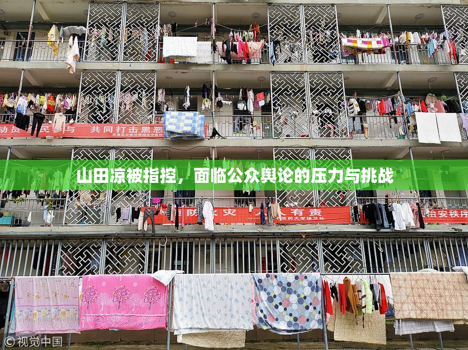 山田凉被指控，面临公众舆论的压力与挑战