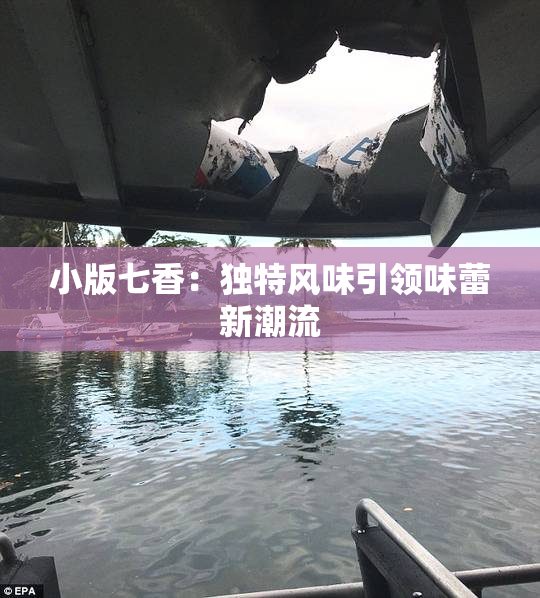 小版七香：独特风味引领味蕾新潮流