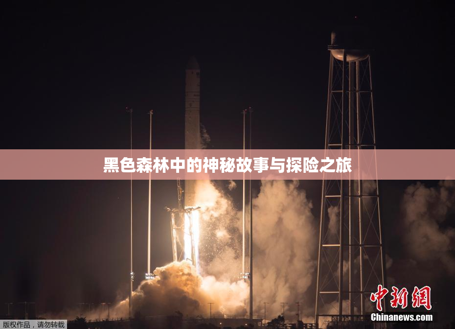 黑色森林中的神秘故事与探险之旅