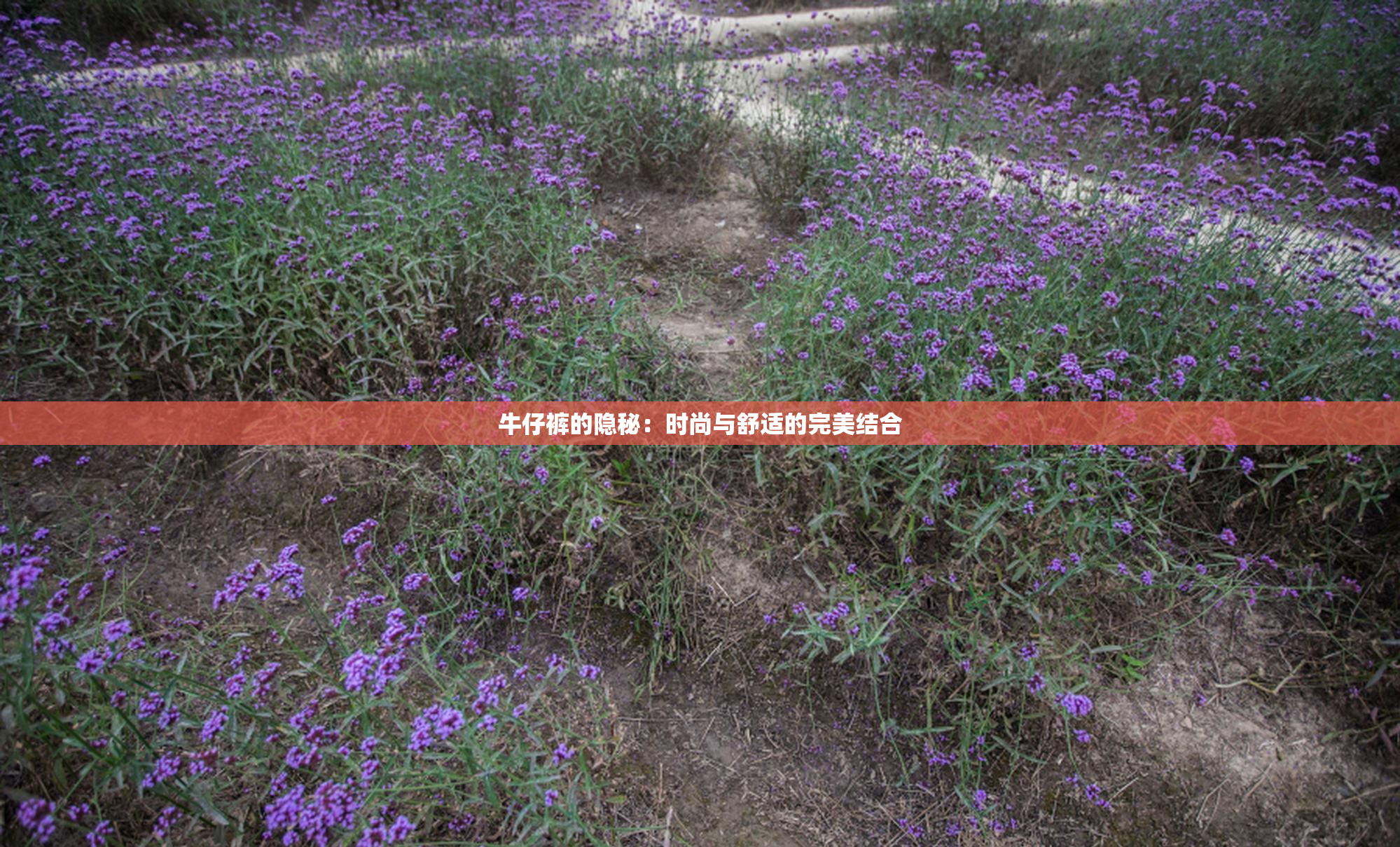 牛仔裤的隐秘：时尚与舒适的完美结合