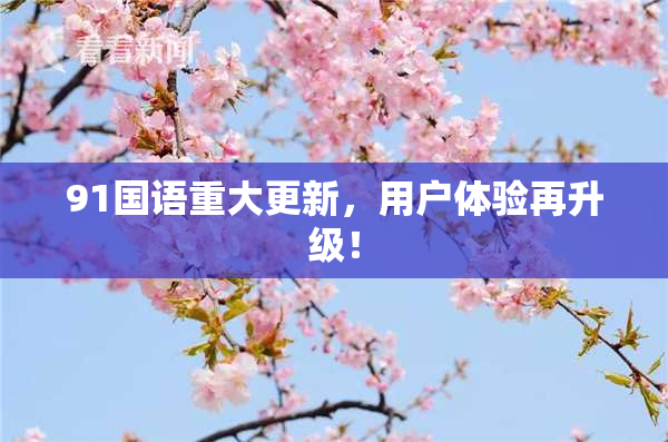 91国语重大更新，用户体验再升级！