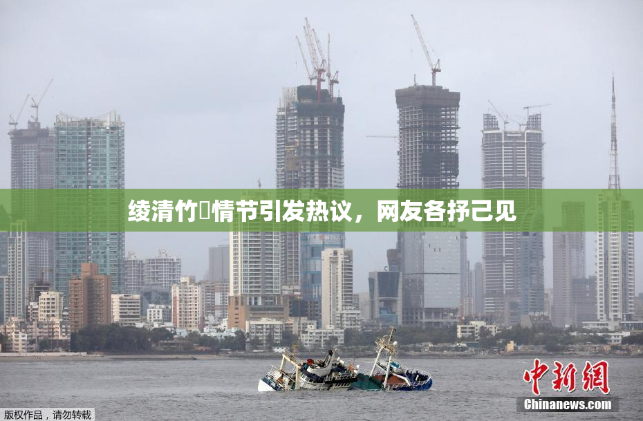 绫清竹婬情节引发热议，网友各抒己见