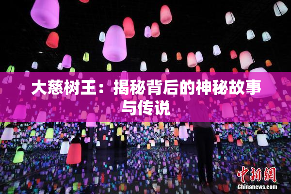 大慈树王：揭秘背后的神秘故事与传说