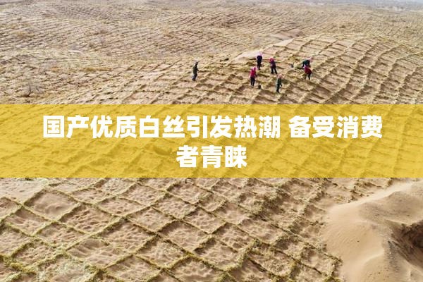 国产优质白丝引发热潮 备受消费者青睐