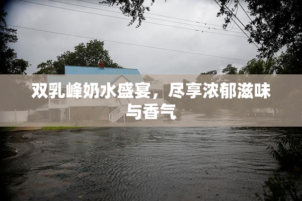 双乳峰奶水盛宴，尽享浓郁滋味与香气