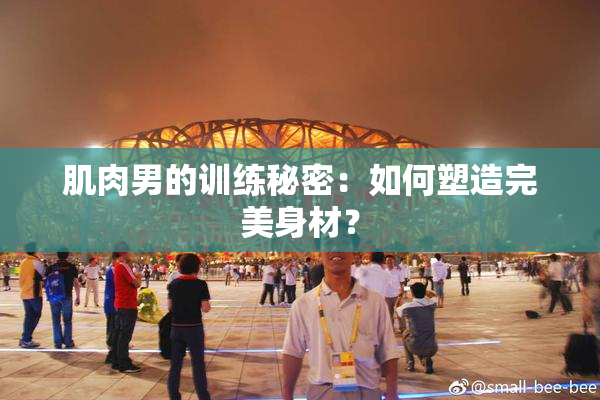 肌肉男的训练秘密：如何塑造完美身材？