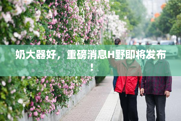 奶大器好，重磅消息H野即将发布！