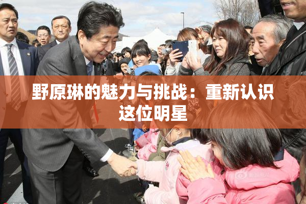 野原琳的魅力与挑战：重新认识这位明星
