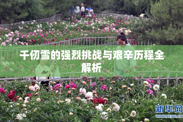千仞雪的强烈挑战与艰辛历程全解析