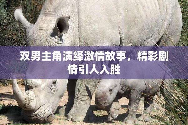 双男主角演绎激情故事，精彩剧情引人入胜