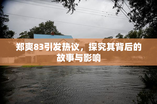 郑爽83引发热议，探究其背后的故事与影响
