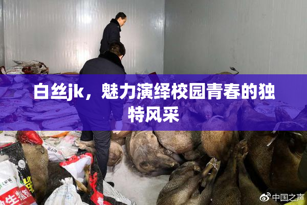 白丝jk，魅力演绎校园青春的独特风采
