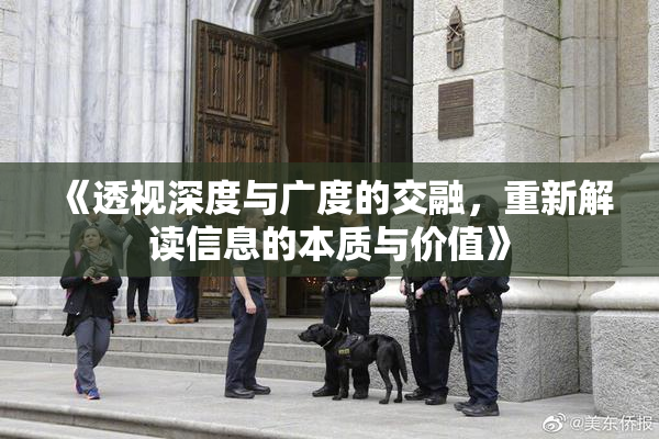 《透视深度与广度的交融，重新解读信息的本质与价值》