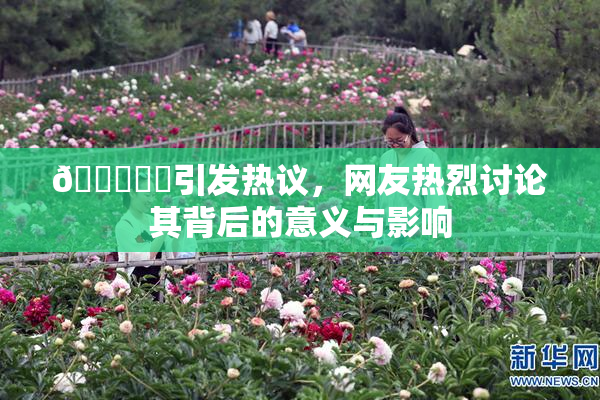 🍆❌‌引发热议，网友热烈讨论其背后的意义与影响