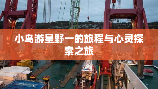 小鸟游星野一的旅程与心灵探索之旅