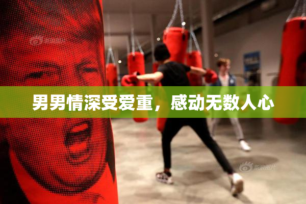 男男情深受爱重，感动无数人心