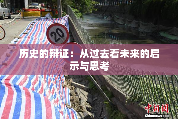 历史的辩证：从过去看未来的启示与思考