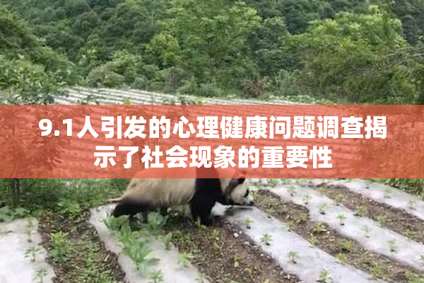 9.1人引发的心理健康问题调查揭示了社会现象的重要性