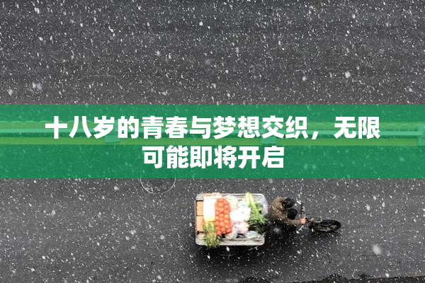 十八岁的青春与梦想交织，无限可能即将开启