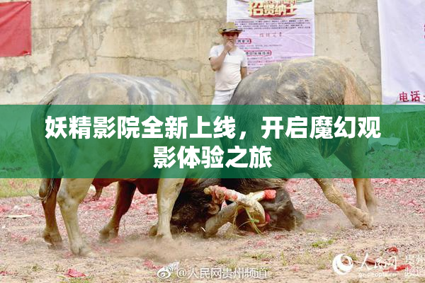 妖精影院全新上线，开启魔幻观影体验之旅