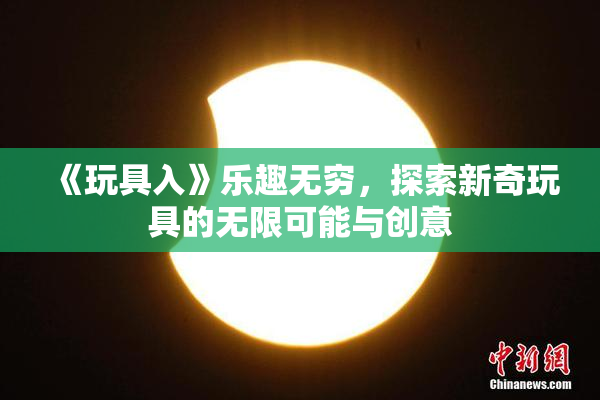 《玩具入》乐趣无穷，探索新奇玩具的无限可能与创意