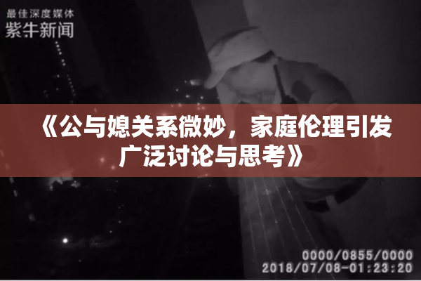 《公与媳关系微妙，家庭伦理引发广泛讨论与思考》