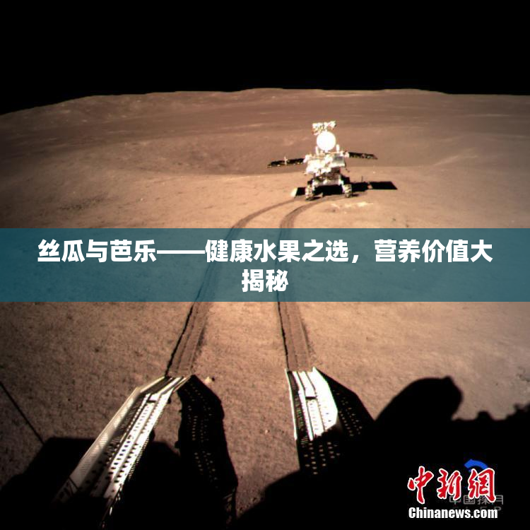 丝瓜与芭乐——健康水果之选，营养价值大揭秘