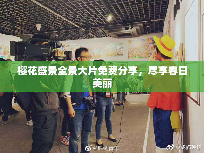 樱花盛景全景大片免费分享，尽享春日美丽