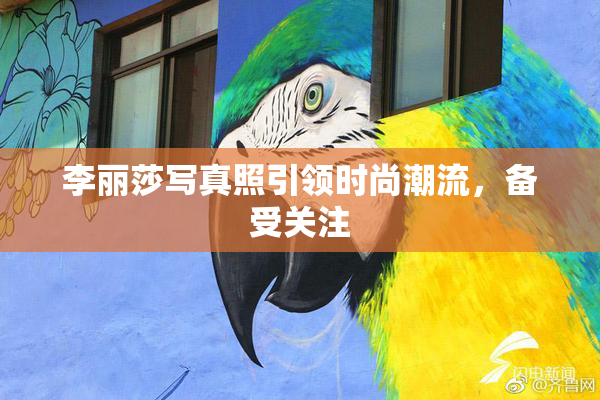 李丽莎写真照引领时尚潮流，备受关注