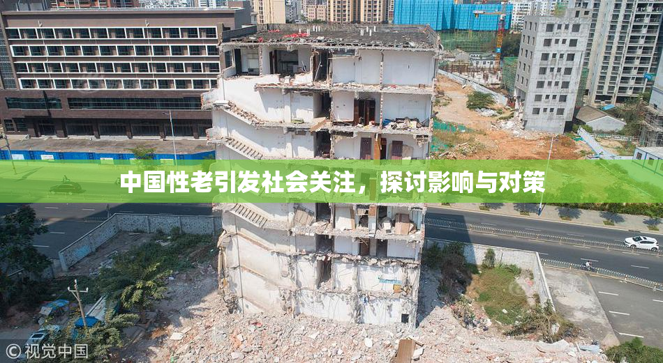 中国性老引发社会关注，探讨影响与对策