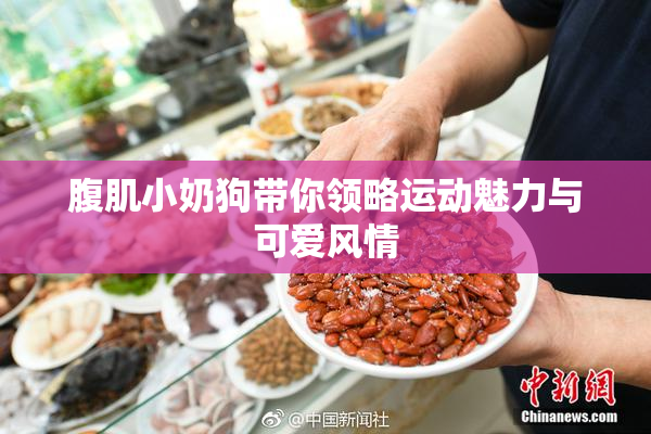 腹肌小奶狗带你领略运动魅力与可爱风情