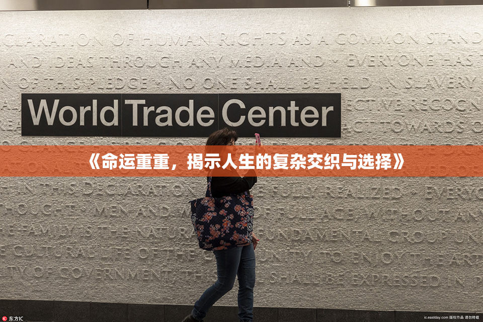 《命运重重，揭示人生的复杂交织与选择》