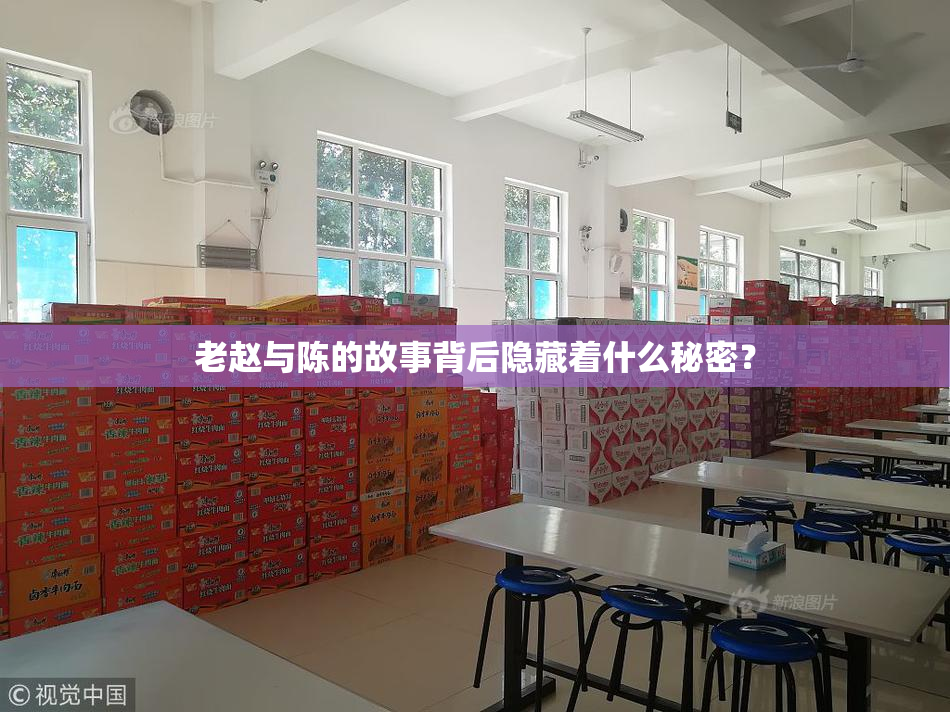 老赵与陈的故事背后隐藏着什么秘密？