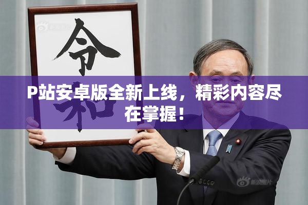 P站安卓版全新上线，精彩内容尽在掌握！