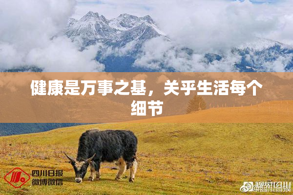 健康是万事之基，关乎生活每个细节