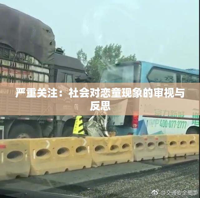 严重关注：社会对恋童现象的审视与反思