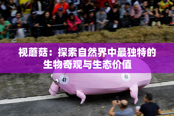视蘑菇：探索自然界中最独特的生物奇观与生态价值