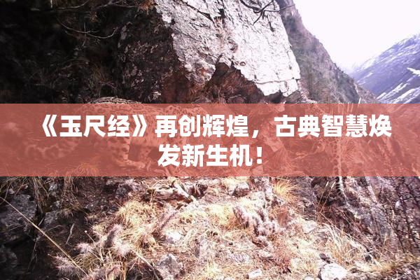 《玉尺经》再创辉煌，古典智慧焕发新生机！