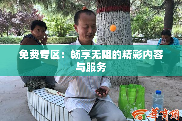 免费专区：畅享无阻的精彩内容与服务