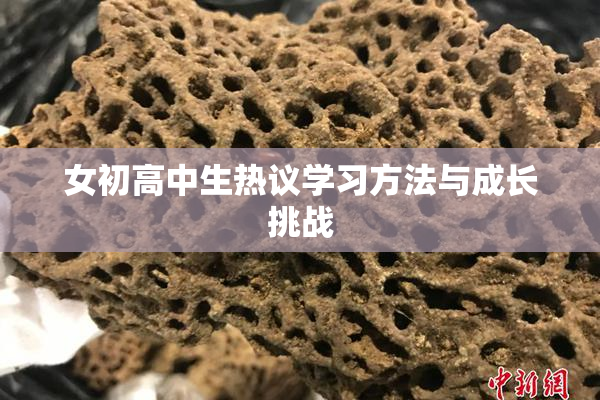 女初高中生热议学习方法与成长挑战