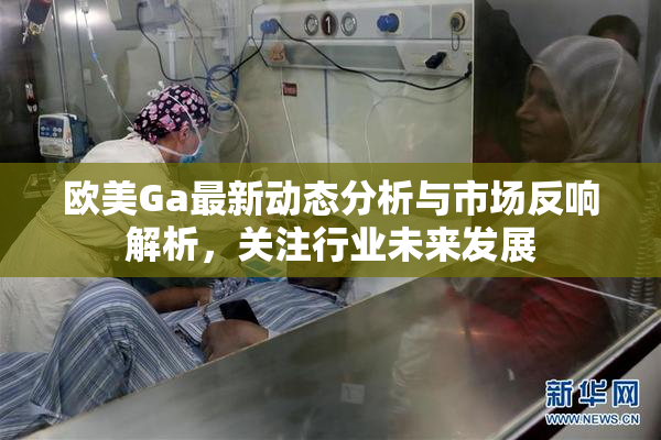 欧美Ga最新动态分析与市场反响解析，关注行业未来发展