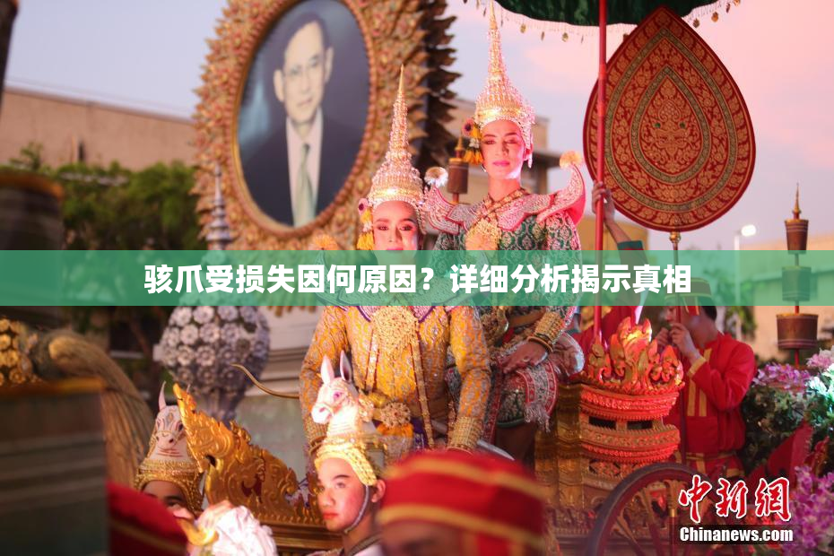 骇爪受损失因何原因？详细分析揭示真相