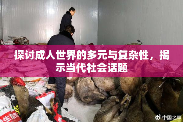 探讨成人世界的多元与复杂性，揭示当代社会话题