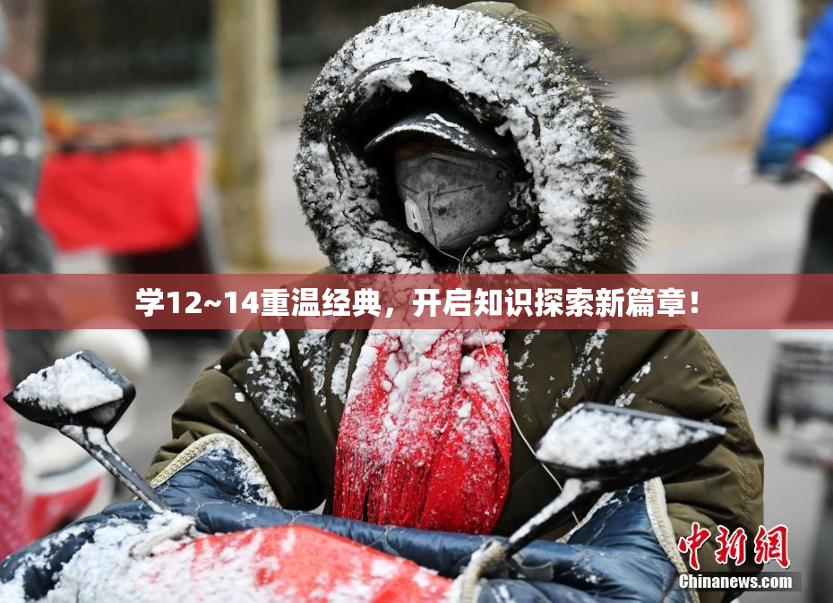 学12~14重温经典，开启知识探索新篇章！